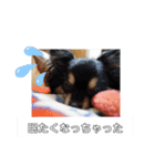 麦ちゃん♡2（個別スタンプ：6）