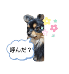 麦ちゃん♡2（個別スタンプ：7）