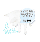 北海道犬×ふせん メッセージスタンプ♡（個別スタンプ：6）