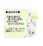 北海道犬×ふせん メッセージスタンプ♡（個別スタンプ：9）