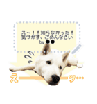 北海道犬×ふせん メッセージスタンプ♡（個別スタンプ：10）