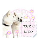 北海道犬×ふせん メッセージスタンプ♡（個別スタンプ：15）