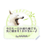 北海道犬×ふせん メッセージスタンプ♡（個別スタンプ：22）