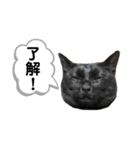 黒猫のジッくん2（個別スタンプ：4）