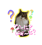 今日ものるにゃんと過ごそうよ（個別スタンプ：4）