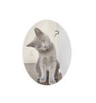 猫のブルー（個別スタンプ：1）