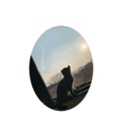 猫のブルー（個別スタンプ：7）