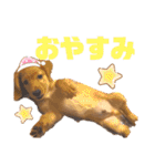 ナッツ編 日常で使えます！（個別スタンプ：2）