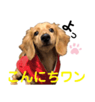 ナッツ編 日常で使えます！（個別スタンプ：3）
