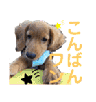 ナッツ編 日常で使えます！（個別スタンプ：4）