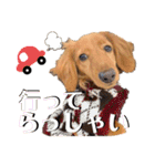 ナッツ編 日常で使えます！（個別スタンプ：5）