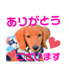 ナッツ編 日常で使えます！（個別スタンプ：6）