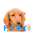 ナッツ編 日常で使えます！（個別スタンプ：10）