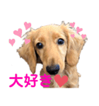 ナッツ編 日常で使えます！（個別スタンプ：11）