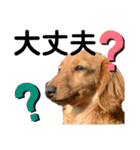ナッツ編 日常で使えます！（個別スタンプ：14）