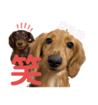 ナッツ編 日常で使えます！（個別スタンプ：22）