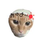 やたがい家のにゃんこたち（個別スタンプ：3）