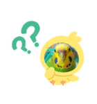 オカメインコとセキセイインコ（個別スタンプ：7）