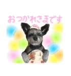 ぷぅちゃん 3（個別スタンプ：6）