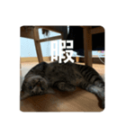 ゆきちゃんさん（個別スタンプ：4）