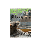 ゆきちゃんさん（個別スタンプ：5）