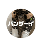 ゆきちゃんさん（個別スタンプ：8）
