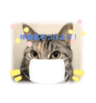 猫たちの晩餐会（個別スタンプ：7）