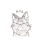 感情豊かなキャッツ（個別スタンプ：1）
