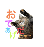 みーーーーーーーーやたスタンプ（個別スタンプ：13）