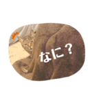 きすごめ（個別スタンプ：4）