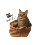 きすごめ（個別スタンプ：5）
