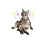 きすごめ（個別スタンプ：11）
