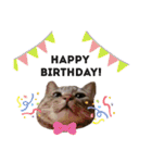 きすごめ（個別スタンプ：14）