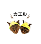 きすごめ（個別スタンプ：16）