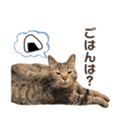 きすごめ（個別スタンプ：21）