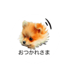 我が犬 フィリップ（個別スタンプ：6）