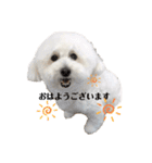 愛犬ももパルゆめすず（個別スタンプ：2）