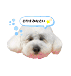 愛犬ももパルゆめすず（個別スタンプ：3）