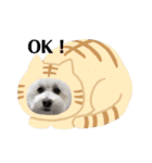 愛犬ももパルゆめすず（個別スタンプ：10）