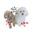 愛犬ももパルゆめすず（個別スタンプ：14）