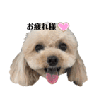 愛犬ももパルゆめすず（個別スタンプ：15）
