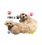 愛犬ももパルゆめすず（個別スタンプ：18）