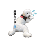 愛犬ももパルゆめすず（個別スタンプ：30）