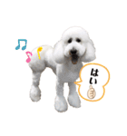 愛犬ももパルゆめすず（個別スタンプ：32）