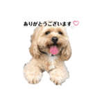 愛犬ももパルゆめすず（個別スタンプ：35）