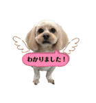 愛犬ももパルゆめすず（個別スタンプ：38）