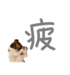 ジャックのタープ（個別スタンプ：15）