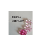 敬語、スタンプ（個別スタンプ：4）