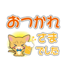 茶トラ猫ちゃんのデカ文字スタンプ（個別スタンプ：6）