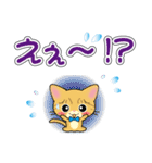 茶トラ猫ちゃんのデカ文字スタンプ（個別スタンプ：31）